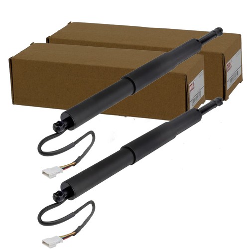 Nty gasfeder heckklappe - 2x,
