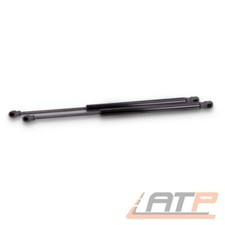 2x GASFEDER HECKKLAPPE