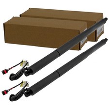 2x NTY ELEKTRISCHE HECKKLAPPEN